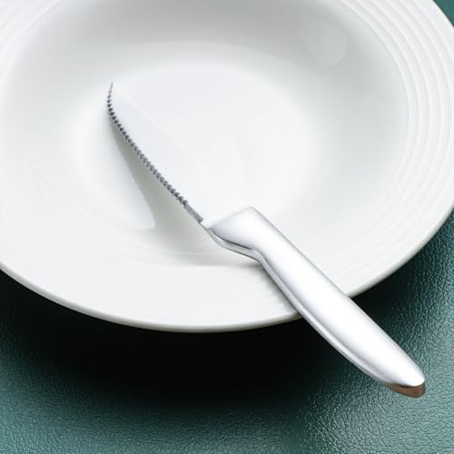 Silverware Set with Steak Knives (Matte silver with Steak Knives)