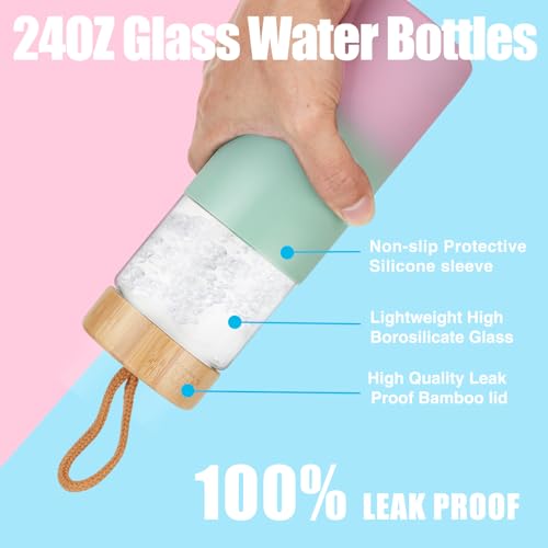 24 oz Glass Water Bottles with Lids (Gravelgray / 24 Ounces)