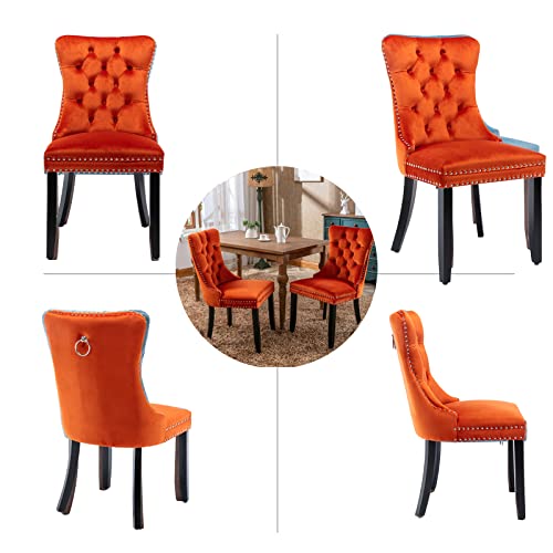 Orange Velvet Dining Chairs Set of 2 (Orange)