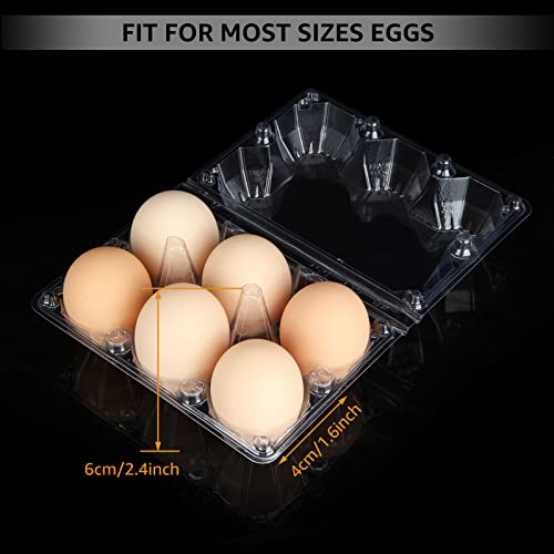 100PCS Egg Cartons Cheap Bulk