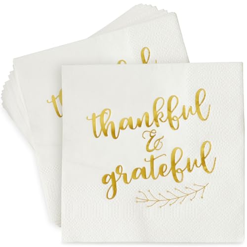 50 Pack Thanksgiving Cocktail Napkins Party Supplies Table Decorations (50 Pack)