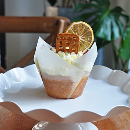 Large size White Tulip Baking Cups 2 (White)