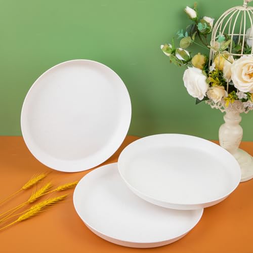 EI 18pcs White Wheat Straw Dinner Plates (White Wheat Straw Plates)
