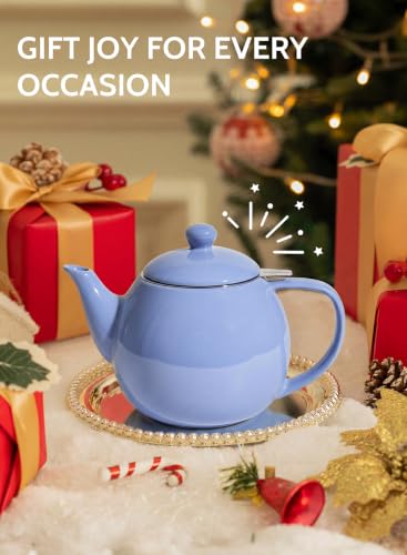 Porcelain Teapot 27 oz with Infuser for Loose Leaf Tea (Dusty Blue / 27oz (with infuser))
