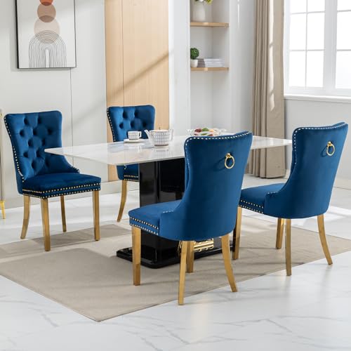 Blue Velvet Dining Chairs Set of 2 (Natural Blue)