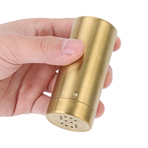 Gold Stainless Steel Spice Jars 2Pcs