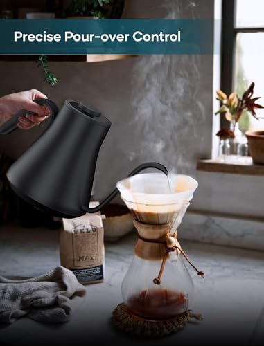Gooseneck Electric Kettle with ±1℉ Temperature Control 0.9 Liter (Ebony Black)