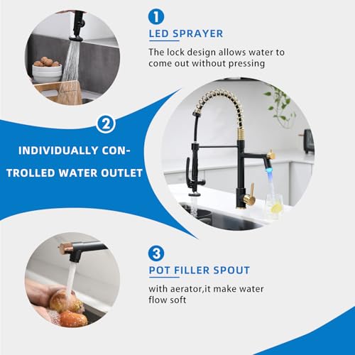 LED Kitchen Faucet with Pull Down Sprayer (Black&Gold)