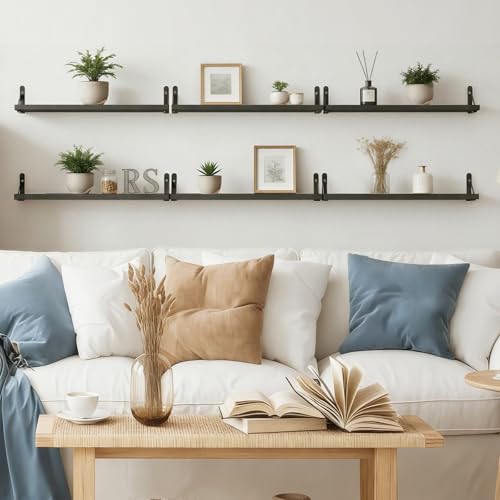 23.6in Floating Shelves for Wall Home Decor (Black / 23.6 x 6.1 x 0.59 inches)