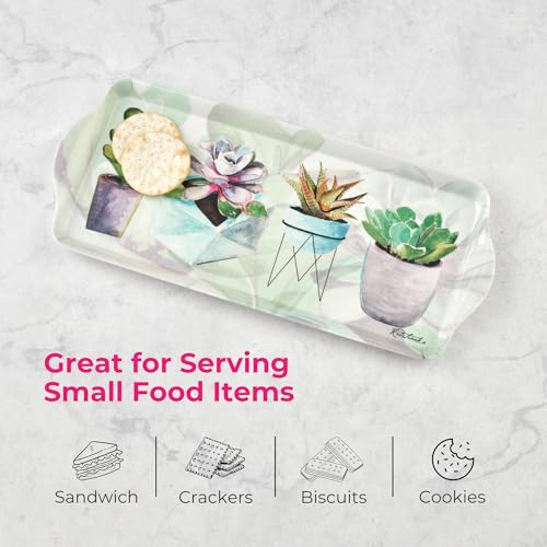 Succulent Sandwich Tray Decorative Rectangular Melamine (15.1" x 6.5" x 1" / Succulents)