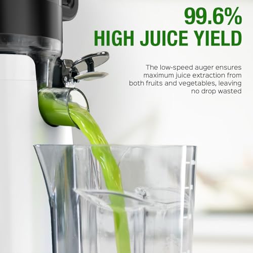 Cold Press Juicer Machine (Classic White)