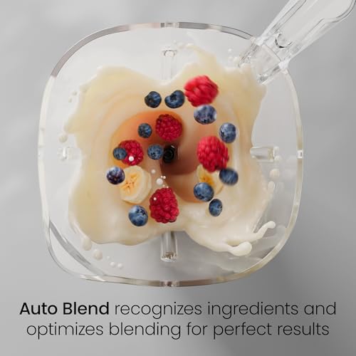 Obliterator 48 oz Countertop Blender for Smoothies (MIDNIGHT / Power Blender + 1 Travel Jar)
