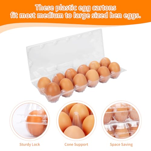 60 Pack Plastic Egg Cartons Cheap Bulk (60Pack-2x6Grids)