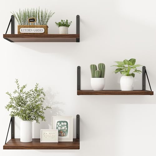 Floating Shelves for Wall Set of 3