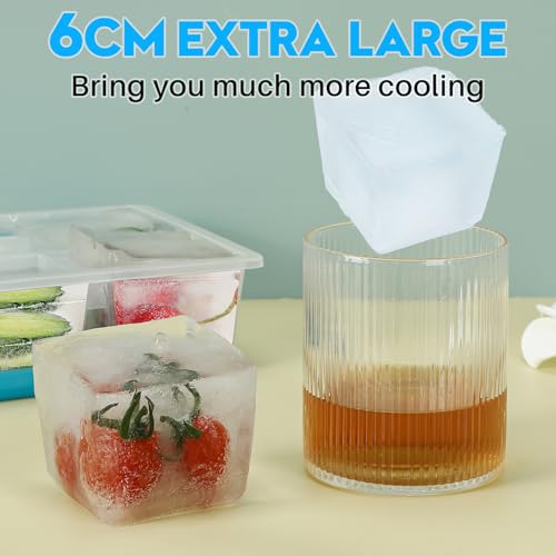 Ice Cube Trays 2 Pack (2 Count)