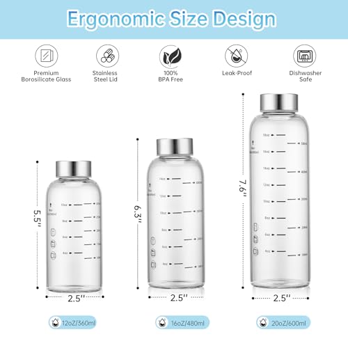 Glass Juice Bottles 6 Pack 20 oz (20 Ounces / 6 Pack Silver Lid)