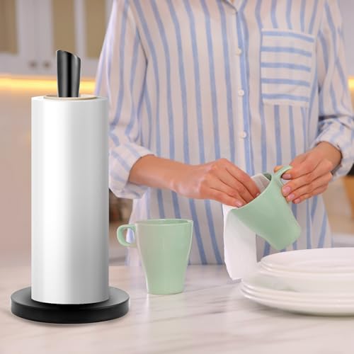Stainless Steel Paper Towel Holder (Black Stainless Steel)