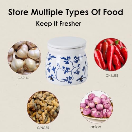 Terracotta Garlic Storage Container