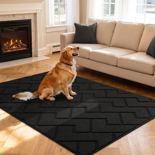 Indoor Doormat (Black / 71" x 47" (Rectangular))