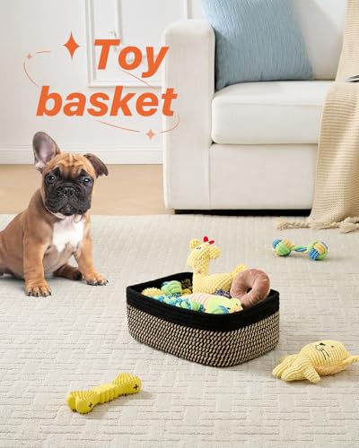 Small Woven Storage Basket for Organizing (Black & Brown / 12"L x 8"W x 4.5"H)