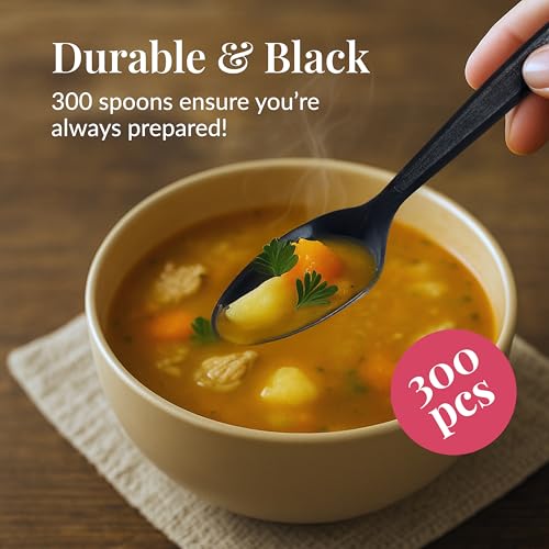 300 Black Plastic Spoons Bulk (300ct / Black)