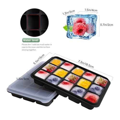 Ice Cube Trays Set of 2 (Black)