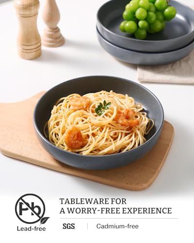Milkyway 33 oz Pasta Bowls Set of 8 (Matte Dark Charcoal / Set of 8)