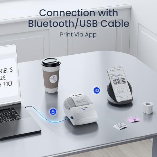 Thermal Label Maker Machine 221B Mini Portable Label Printer Thermal Labeling Printing Machine Sticker Bluetooth Label Printer Barcode Inkless Labelmaker for Price Logo Clothing (Gray White)