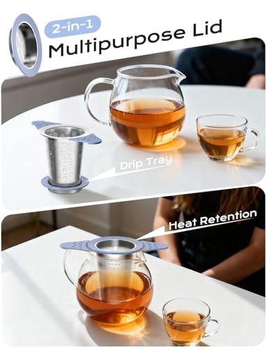 2PCS Tea Infuser for Loose Leaf Tea (2 Pack - Grey)