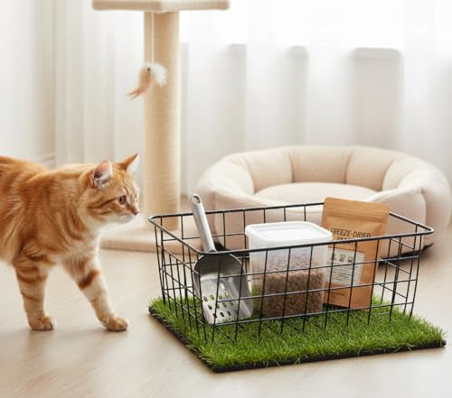 Wire Baskets with Handles (4 Count)