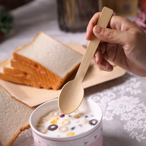 Bamboo Utensils (2000 Spoons)