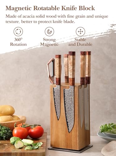 Magnetic Rotating Knife Holder without Knives