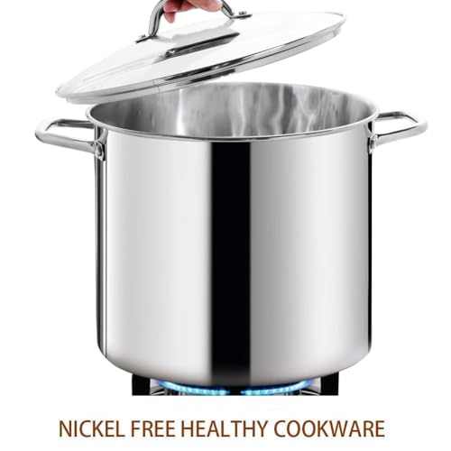 LARGE STOCK POT 24 Quart With Lid (24 Quarts / Mirror Polished Stainless Steel)