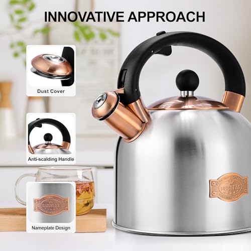 Tea Kettle 3.17QT Stainless Steel Whistling Tea Pot (Silver)