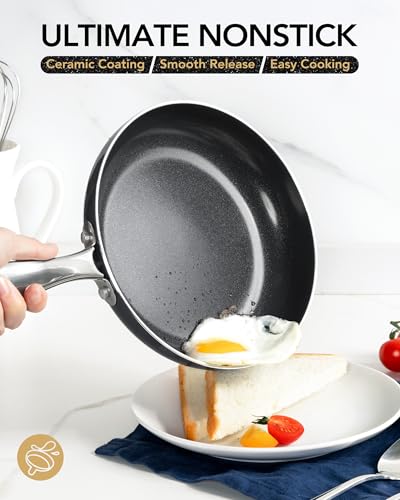 10 Inch Nonstick Frying Pan with Lid (Black / 10 inch)