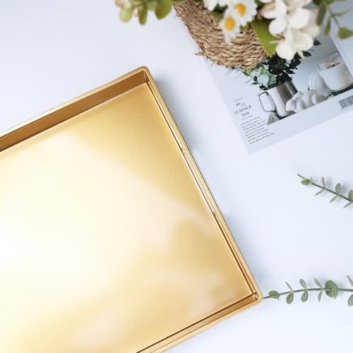 Gold Decorative Serving Tray with Handles (Gold)