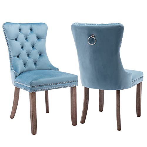 Light Blue Velvet Dining Chairs Set of 2 (Light Blue)