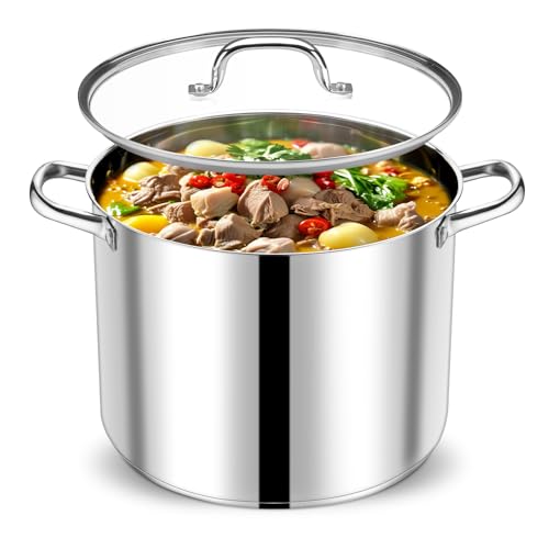 20 QT Stainless Steel Stock Pot with Lid (20 Quarts)