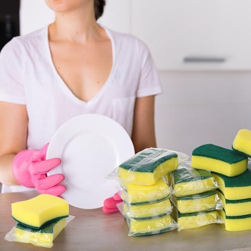 50 Pcs Individually Wrapped Sponges Uncompressed Green (Green)