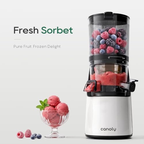 3-in-1 Cold Press Juicer C16, Makes Juice & Sorbet & Nut Milk (Pearl White)