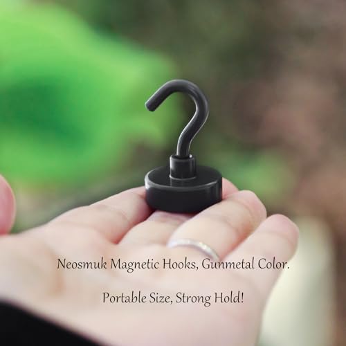 Magnetic Hooks (10 Count)
