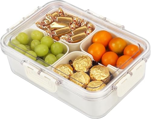 Snack Box Container (1 PC - 4 Compartments)