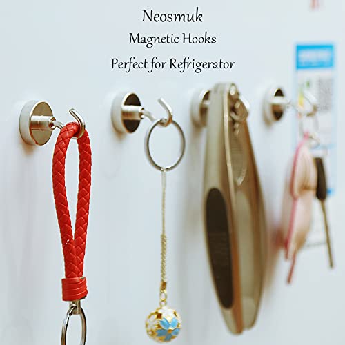 Magnetic Hooks (10 Count)