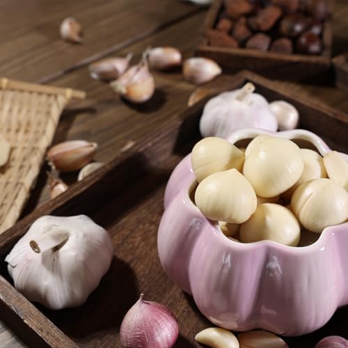 Garlic Keeper for Counter (purple)