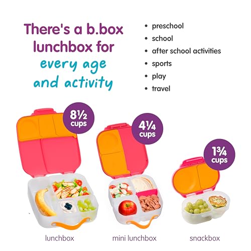 Snack Box Snack Containers for Kids