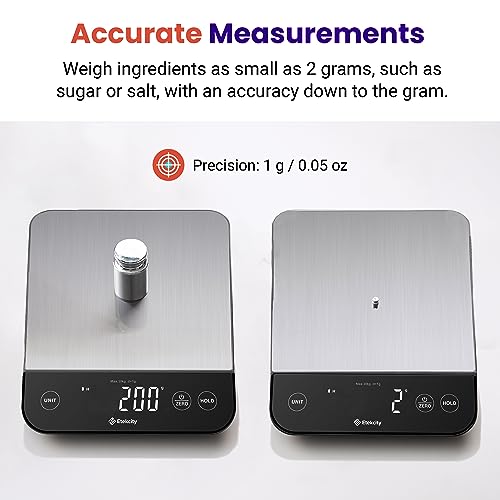 22lb Food Kitchen Scale (Stainless Steel-Silver)