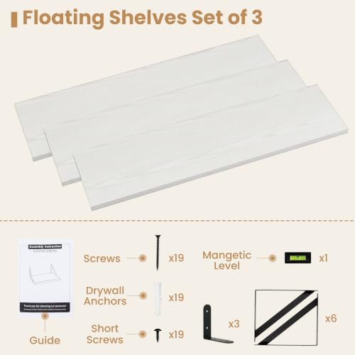 Floating Book Shelves for Wall