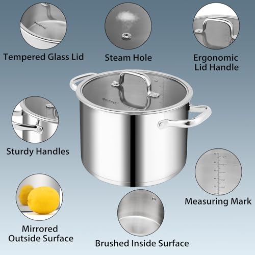 Stainless Steel Stock Pot (8 Quarts)