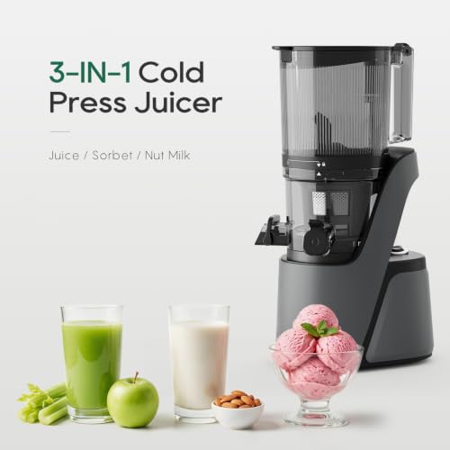 3-in-1 Cold Press Juicer C16, Makes Juice & Sorbet & Nut Milk (Space Gray)