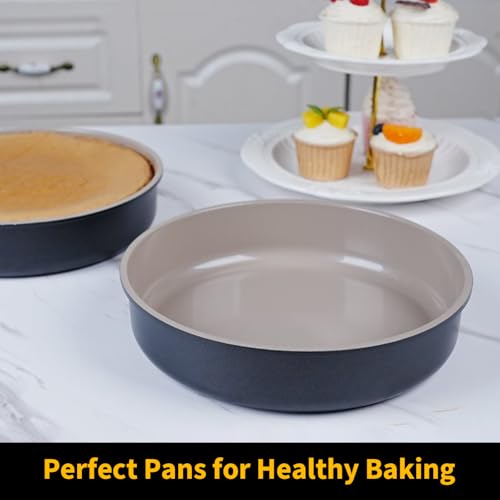 9.5 Inch Round Cake Pan (20 Ounce)